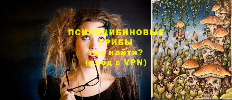 Галлюциногенные грибы MAGIC MUSHROOMS  закладки  Петушки 